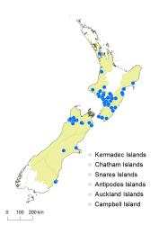 Equisetum arvense distribution map based on databased records at AK, CHR and WELT.
 Image: K. Boardman © Landcare Research 2014 CC BY 3.0 NZ